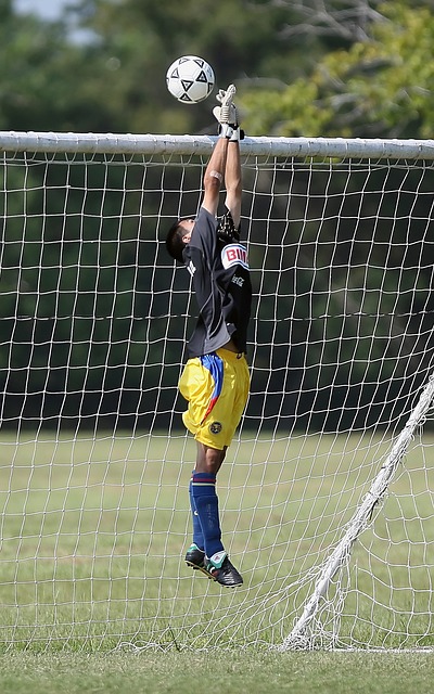 万辞职的传 万辞职的传